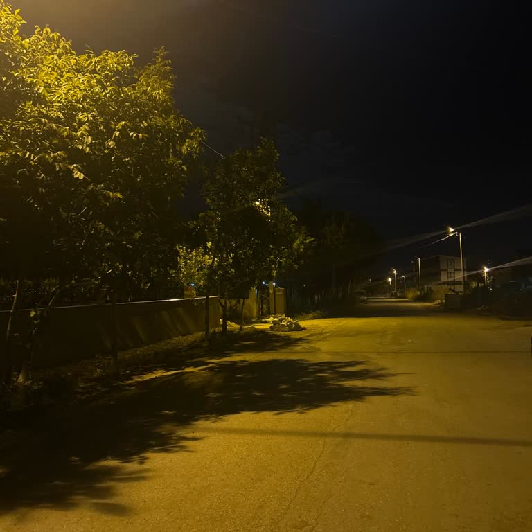 Papatya Caddesi’nde Kontrolsüz Trafik Ve Alkol Kullanımı Güvenliği Tehdit Ediyor