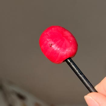 Lollipop Paketi İçinde Karınca: Hijyen Ve Kalite Kontrolü İhmali