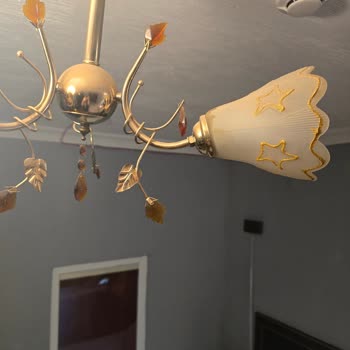 Midyat Antik Otel’de Hijyen Eksikliği Ve Rehberin Duyarsızlığıyla Yaşanan Mağduriyet