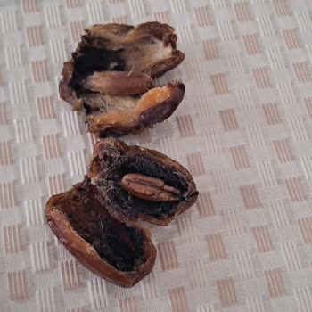 Hurmalardaki Küflenme Durumu Ve Migros’tan Gerekli İncelemenin Talebi