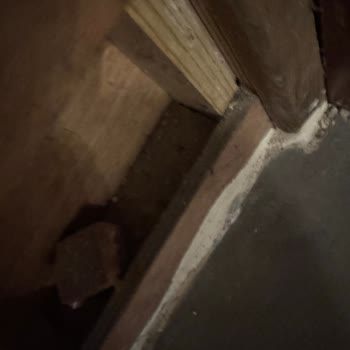 Hijyen Sorunu Nedeniyle Kalınmayan Otel İçin Tam İade Ve Kayıt Düzeltmesi