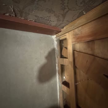 Hijyen Sorunu Nedeniyle Kalınmayan Otel İçin Tam İade Ve Kayıt Düzeltmesi