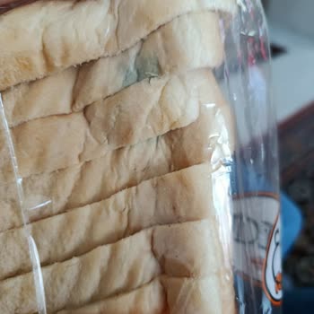 BİM Şubesinde Açılmamış Pakette Küflü Ekmeğe Karşı İade Talebi