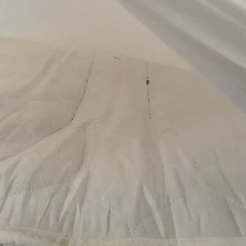 İlan Edilen Çocuk Ranzaları Yerine Portatif Yataklar Verildi