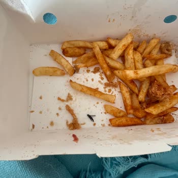 Cajun Corner'da Sinekli Hamburger Menüsü Hijyen İhlali Ve İade Talebi