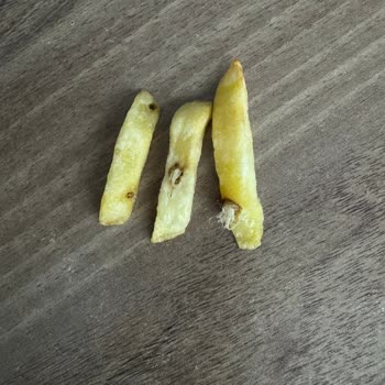 Böcekli Dondurulmuş Patateste İkinci Kez Kalite Kontrolü İhmalı