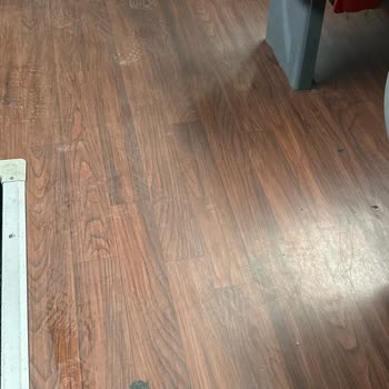 Kamil Koç Otobüsünde Hijyen Sorunu: Kirli Araç Ve Tozlu Koltuklar