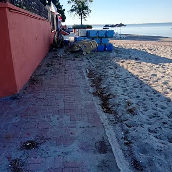 Ereğlisi Sahillerinde Çevre Bakanlığı İhmali Ve Yetersiz Personel