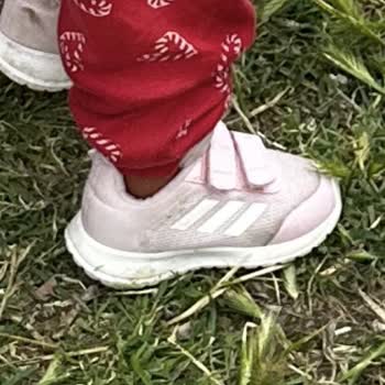 Bebek Ayakkabısı Otobüste Kayıp Şirketten Çözüm Ve Tazminat Talebi