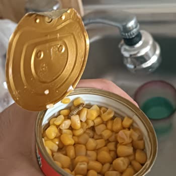 Superfresh Konserve Mısırda Canlı Yabancı Madde Çocuk Sağlığı Tehlikede