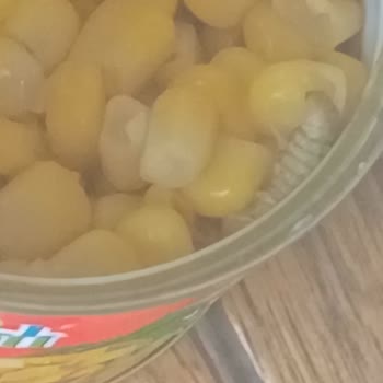 Superfresh Konserve Mısırda Canlı Yabancı Madde Çocuk Sağlığı Tehlikede