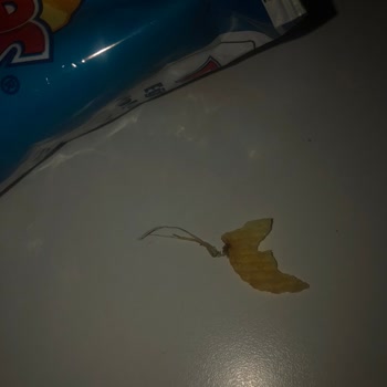 Ruffles Cipsinde Ipe Benzeyen Yabancı Madde Şok Yarattı