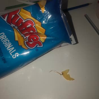 Ruffles Cipsinde Ipe Benzeyen Yabancı Madde Şok Yarattı