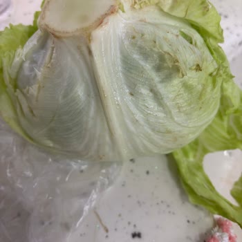 Carrefour’da Bozulmuş Marul Ve Cevapsız Müşteri Hizmetleri