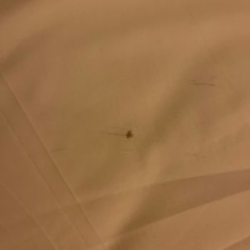 Ultra Her Şey Dahil Olmadığı İçin Otelde Yaşanan Büyük Mağduriyet Ve Tam İade Talebi