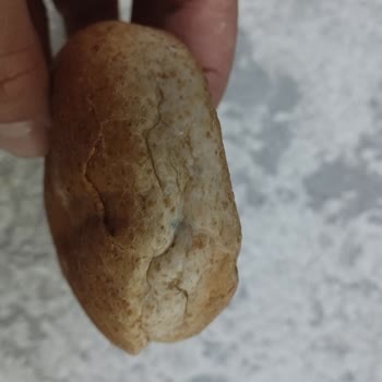 Şehir Hastanesi Kafesinde Çocuklara Verilen Küflü Ekmek