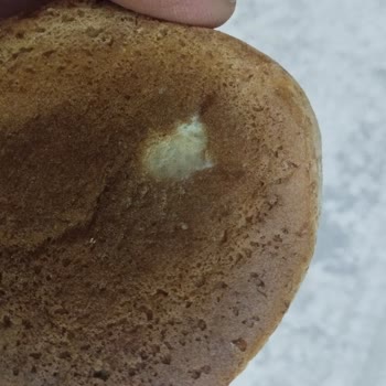 Şehir Hastanesi Kafesinde Çocuklara Verilen Küflü Ekmek