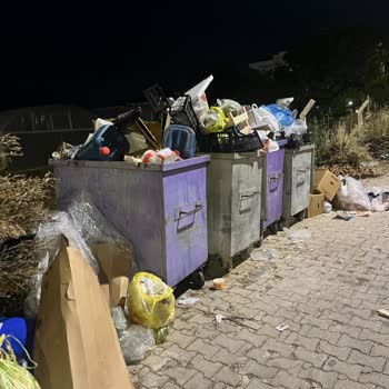 Sürekli Dolu Çöp Konteynerleri, Kötü Koku Ve Çevre Kirliliği