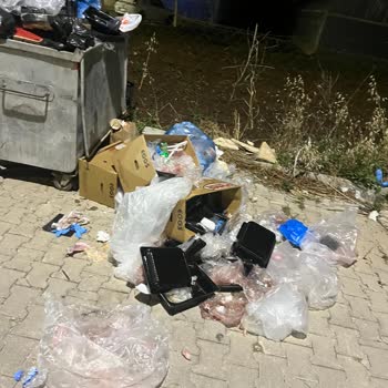 Düzenli Çöp Boşaltımı Olmadığı İçin Mahallede Kötü Koku Ve Görüntü Kirliliği