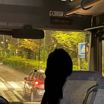 Etstur Paris Disneyland Turunda Ulaşım Ve Hijyen Sorunları