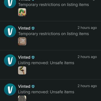 Vinted Removed Safe Skirt and Kids’ Listings as Unsafe Items