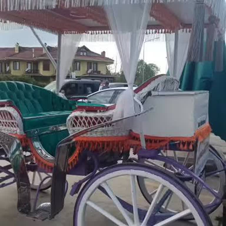 Sapanca Sahil Yolunda Fayton Atlarının Güneşte Bekletilmesi Hayvan Refahını Tehdit Ediyor