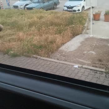 Eki aç