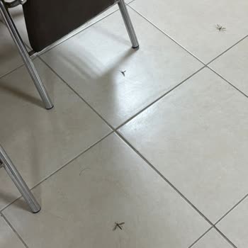 SSC Tur’da Vaat Edilen Otel Standartları Aykırı, Güvenlik Ve Konaklamada Mağduriyet
