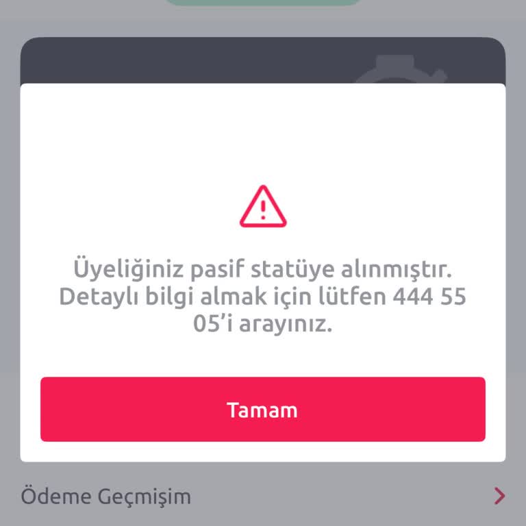 Üyeliğim Neden Pasif? Araç Kiralama Engellendi Ve Açıklama Talebi