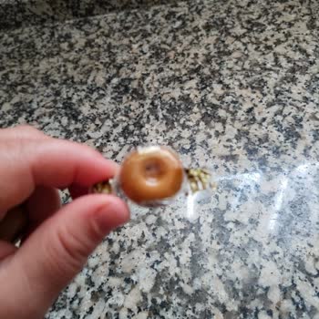 Missbon Hijyen Açısından Güvensiz ve Kullanılamaz Durumda Olması Beni Hayal Kırıklığına Uğrattı