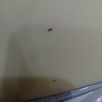 İçim Kaşarında Metal Parça Bulunması Sağlık Riski Oluşturuyor