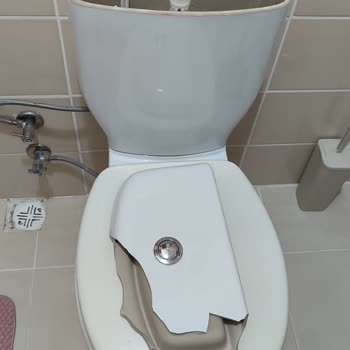 Alvit Klozet Rezervuar Üst Kapağı Kırıldı, Yedek Parça Talebi
