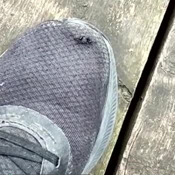 Son Pişmanlığım Adidas