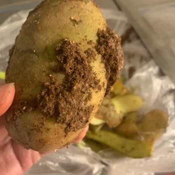 Migros Sanal Market’te Kirli Patates Ve Kalitesiz Ürünler