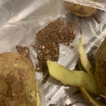 Migros Sanal Market’te Kirli Patates Ve Kalitesiz Ürünler