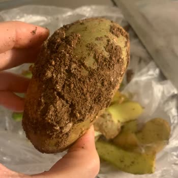 Migros Sanal Market’te Kirli Patates Ve Kalitesiz Ürünler