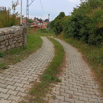 Müftüler Mahallesindeki Sokak Temizliği Düzensizliği İçin Acil Çözüm Talebi