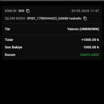 Kazancım Ödenmedi, Hesabım Ve Canlı Destek Engellendi