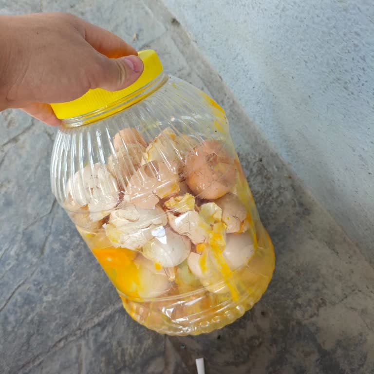 Bagaj Kapağının Kontrolsüz Açılması Çantamı Düşürerek Yumurtalarım Kırıldı Ve Eşyalarım Zarar Gördü