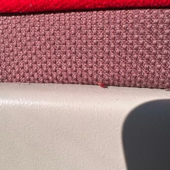 Böceklerle Dolu Otobüste Sağlık Riski Ve Ücret İadesi Talebi
