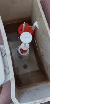 Visam Klozet İç Takımında Aşırı Güç Gerektiren Düğme Ve Su Kaçağı Sorunu