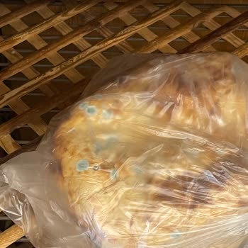 Şok Markette Küflü Ekmek Satışı Ve Personel İhmali
