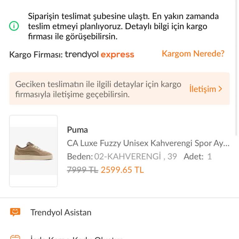 Trendyol’da Sipariş Edilen Puma Ayakkabının Teslimatı Gecikiyor Ve Yanıt Bulamıyor
