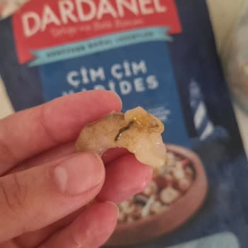 Dardanel Çim Çim Karidesi Temizlenmemiş Ve Bozulmuş