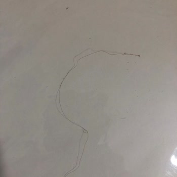 Pizza’da Saç Bulunması Hijyen Ve Sağlık Endişesi Yarattı