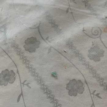 Burrito’da Cam Parçası: Diş Ağrısı Ve Sağlık Tehlikesi