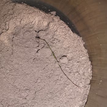 Daphne Kakaolu Pudingde Çimen Benzeri Yabancı Madde Çıktı