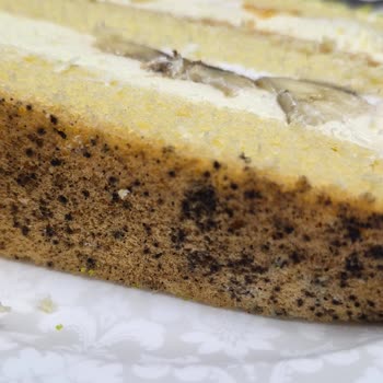 Alkar Pastane - Cafe Küflü Pasta Ve Çalışanların Umursamaz Tavrı