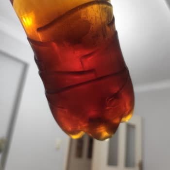 Lipton Ice Tea Şişesinde Kağıt Parçası Ve Küf Tortusu