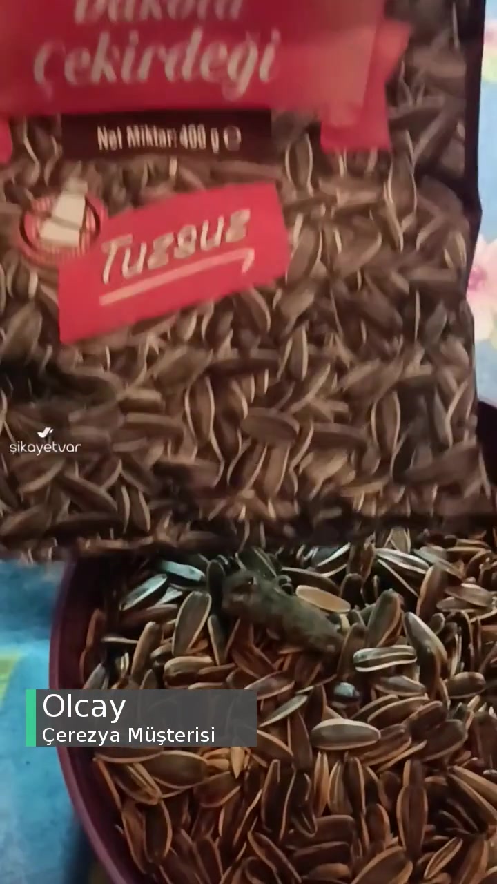 Çerezya Tuzsuz Çekirdek Faciası videonun kapak resmi